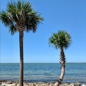 Meet your Posher, Patrice. I live in Florida.